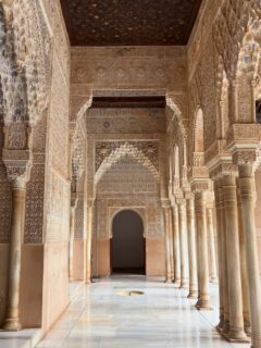 Krachtplekken in Granada ✨
Alhambra heeft het meeste indruk op me gemaakt. Zo een mooie en zachte energie.
De heilige geometrie en het stromend water dat overal terug te vinden is om de energie zuiver te houden. Ze wisten wat ze deden.
Verder bezocht ik nog
•Monasterio de san jeronimo: heel heel krachtige energie in dit klooster
•Monasterio de la cartuja: best veel duistere praktijken zijn daar gebeurd en dat was voelbaar. Buiten de kerk in het klooster, die is heel bijzonder
•Abadia del sacromonte: heilige berg met abdij en grottencomplex van kapelletjes. Was ook de moeite!!
•en andere plekken die niet de moeite zijn om te delen
En als je een goed logeeradres zoekt: hotel escudo del carmen was fantastisch.
Go go go als je er nog niet geweest bent!!
X